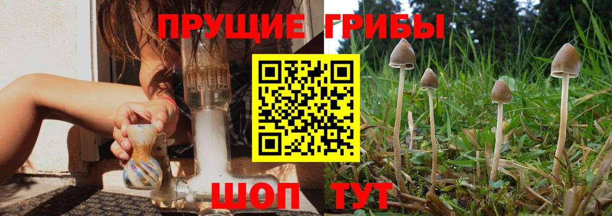 Прокопьевск  Псилоцибиновые грибы мухоморы  Вход с VPN 